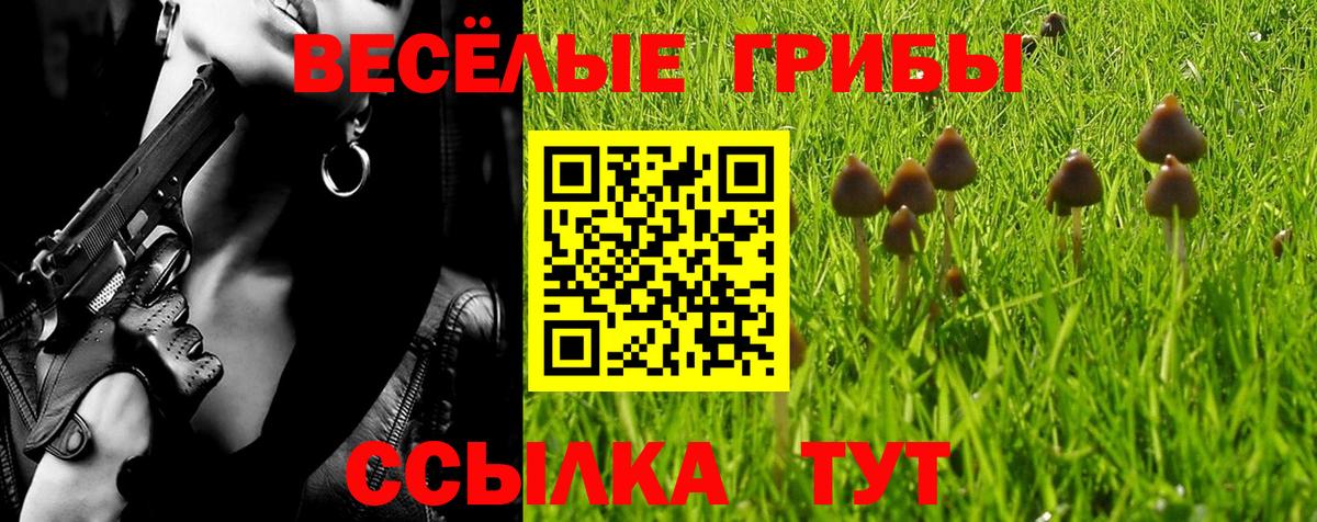 Дубна  Псилоцибиновые грибы Cubensis  Вход с VPN  Галлюциногенные грибы MAGIC MUSHROOMS 