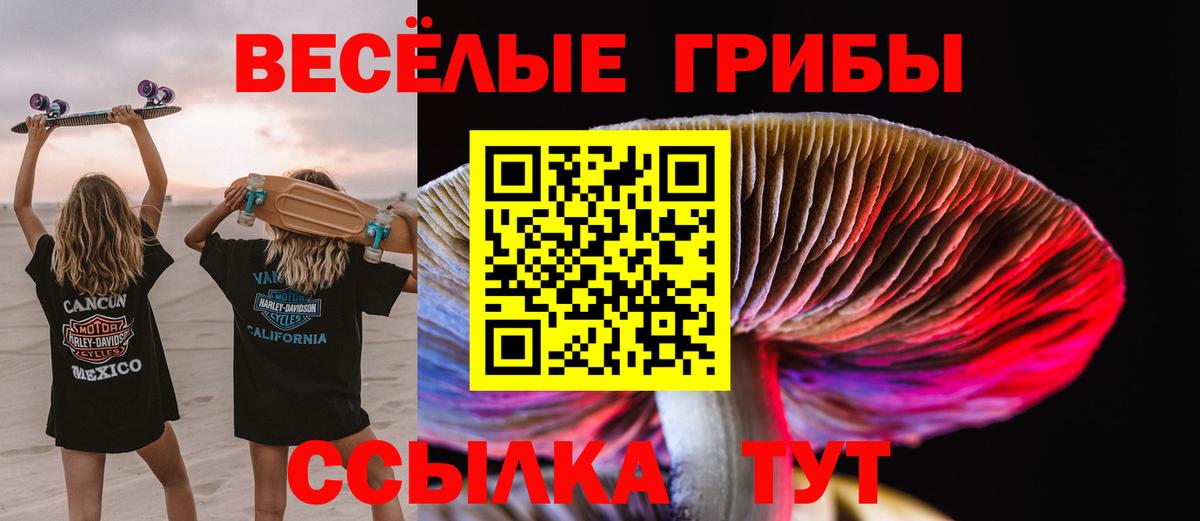 Псилоцибиновые грибы GOLDEN TEACHER Дубна
